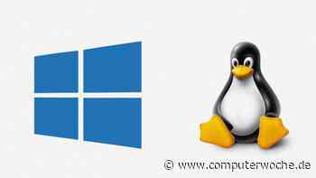 Betriebssysteme: Warum Linux sicherer ist als Windows