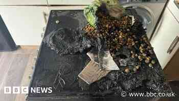 Dog thought to have started cooker fire in Cornwall