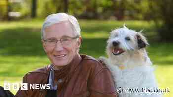 Paul O'Grady: Donations since his death overwhelm Battersea Cats and Dog Home