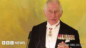 Watch: King Charles speaking German in Berlin