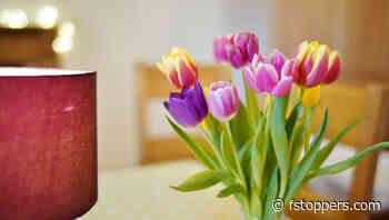 A Review of the New Venus Optics Laowa Argus 28mm f/1.2 FF Lens