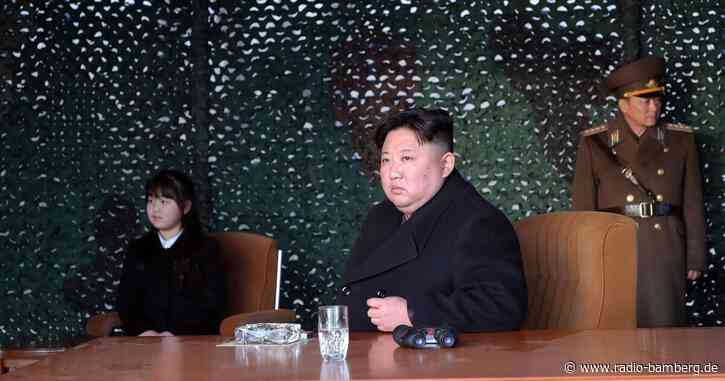 Bericht: Nordkorea erhöht Aktivität an Reaktorkomplex