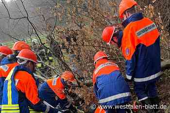 Junge Feuerwehrleute aus Rödinghausen packen kräftig mit an