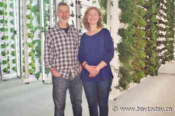 Vertical farming a local success