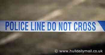 Three arrested on suspicion of murder after man killed in collision with van outside pub in Cramlington