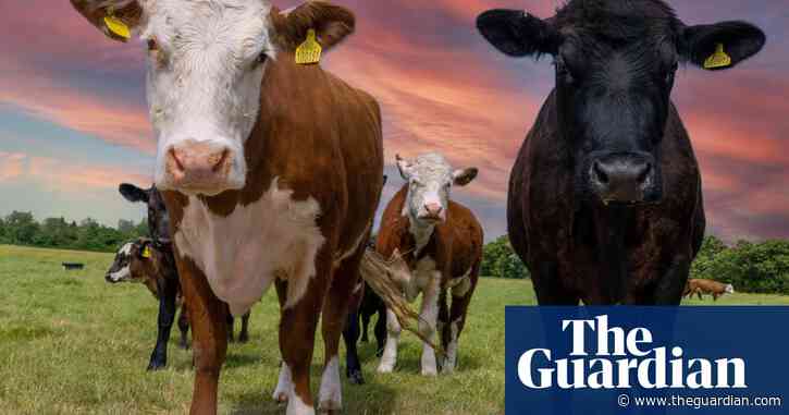 Was I wrong to be so bullish about AI? | Brief letters