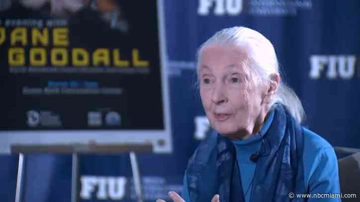 ‘Make This a Better World': Renowned Conservationist Jane Goodall Brings Message of Hope to South Florida