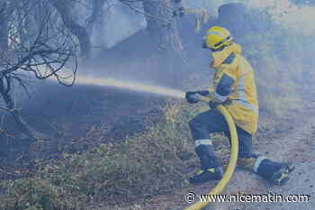 Feux fixés, 31 hectares brûlés, appel à la vigilance... On fait le point sur les quatre incendies du week-end dans les Alpes-Maritimes