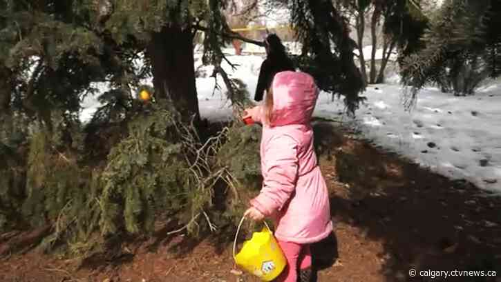 Calgary kids with vision loss hunt for Easter eggs that beep