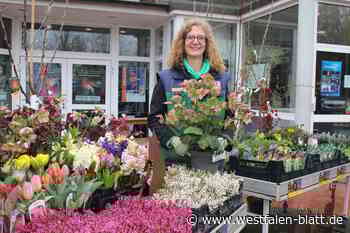 Hausbau und Photovoltaik sind herausragende Themen der Bautage in Delbrück