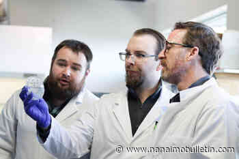 VIU researcher developing tools to better manage infection in salmon