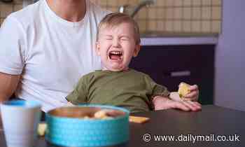 Fed up with your child's tantrums? Experts reveal how parents can survive them