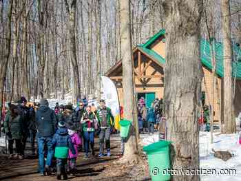 Maple sugar fans throng to Vanier Muséoparc's revived festival