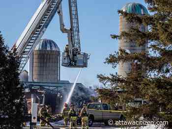 'It was fully engulfed … no hoping to save him': One dead in building fire in Ottawa's south end