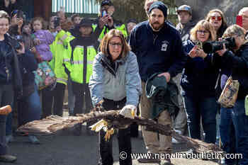 Vancouver Island wildlife recovery centre releases rehabilitated eagle