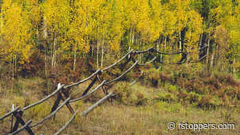 How to Color Grade Images in Lightroom