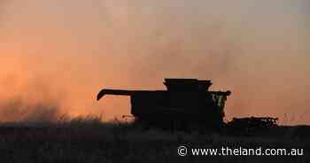 Grains: Aussie ag's quiet achiever