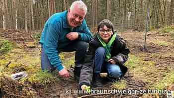 USK-Jubiläumswald aus 1001 Zukunfts-Bäumen