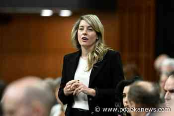 Ottawa is going all in on ‘friendshoring.’ Here’s what that could mean.