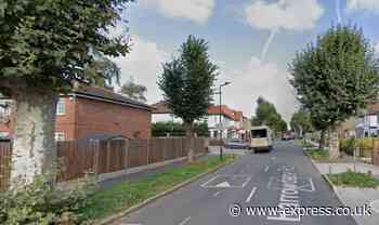 Masked gang terrorises London residents by spraying victims with chemicals in break-ins