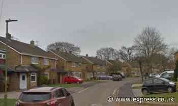 Man, 41, killed after car he was working on 'rolled back' off driveway