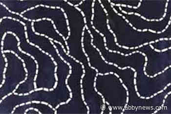 Mounties in southeastern B.C. take over bloodied Ikea rug case; say its linked to violent crime