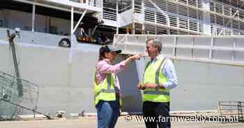 Talk is cheap on live export