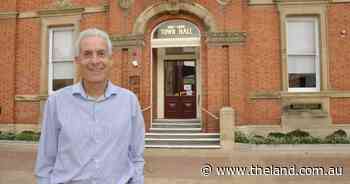 'You ain't seen nothing yet': Solar farms will take off, according to academic