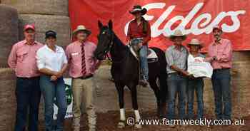 Townes Liberty a sale-topper