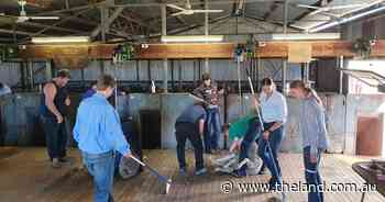 Students flocking to Tamworth district shearing school