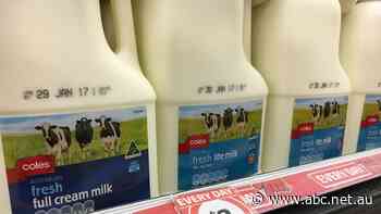 Coles supermarket chain moves into milk production buying two Saputo factories