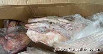 Raid lands 38t of high-risk biosecurity beef, pig, avian meat