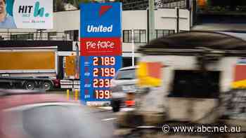 Easter petrol reprieve for motorists to be 'short-lived' as global oil cartel slashes production