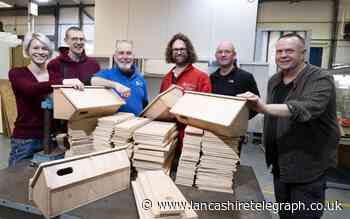 Swift birds to have place to nest thanks to UCLan volunteers