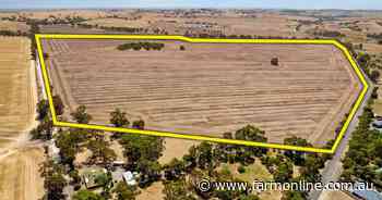 Flurry of bids for blue chip farm blocks in South Australia