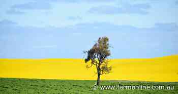 Another multi-national food business signs up to Cool Soils