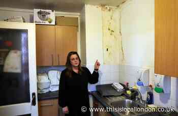 Greenwich woman living in council flat has 'holes in kitchen'