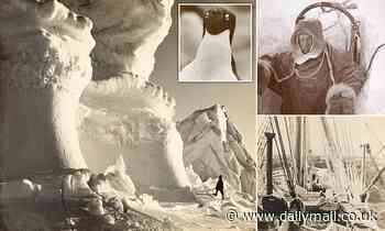 Rare archive pictures reveal early 1900s British and Australian expeditions in Antarctica