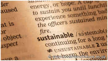Does anyone know what sustainability means anymore?