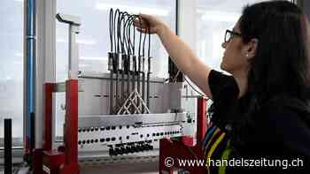 Zahl der Neuansiedlungen ausländischer Firmen nimmt leicht ab