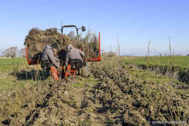 Nieuwe machine ontworpen voor aanplant 10 kilometer nieuwe houtkanten: “Mooi resultaat waar ook inwoners en bezoekers plezier aan beleven”