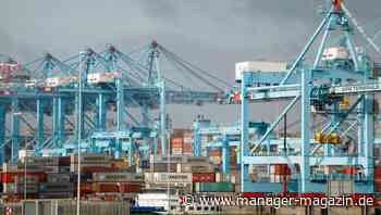 Europäische Häfen: Rotterdam zieht beim Containerumschlag weiter davon