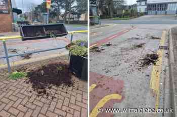 Outrage after vandals destroy community planters in Heswall