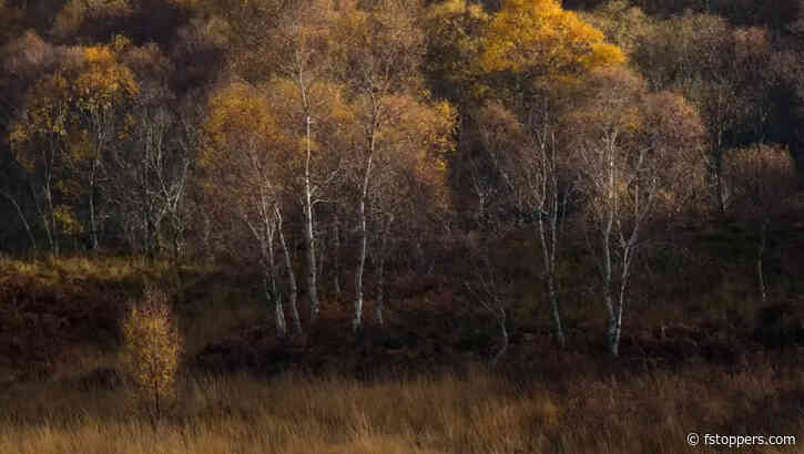 The Importance of Knowing and Photographing Your Local Landscapes