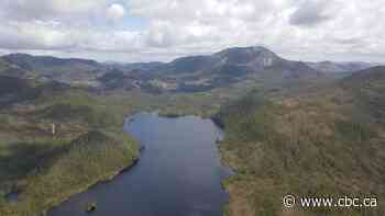 First Nations' court challenge to B.C.'s mineral rights system begins today
