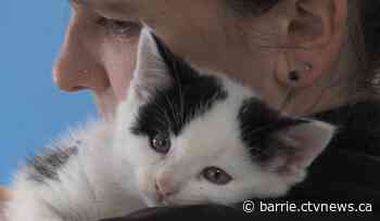 OSPCA’s Draws for Paws 50/50 Lottery