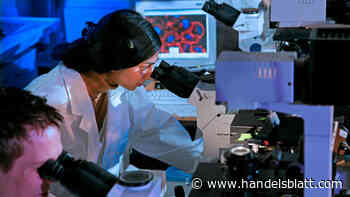 Finanzinvestoren: Die neue Bescheidenheit von Private Equity: Übernahmen im Mittelstand statt spektakulärer Milliarden-Deals