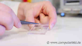 Tesa: Licht-Klebeband hält Smartphones und Tablets zusammen