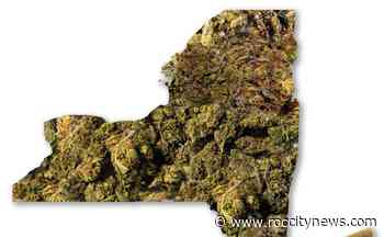 Hempire State: CTY's big-picture guide to legal weed in New York