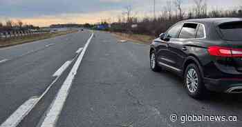 Police looking for truck driver who hit woman on QEW, causing life-altering injuries